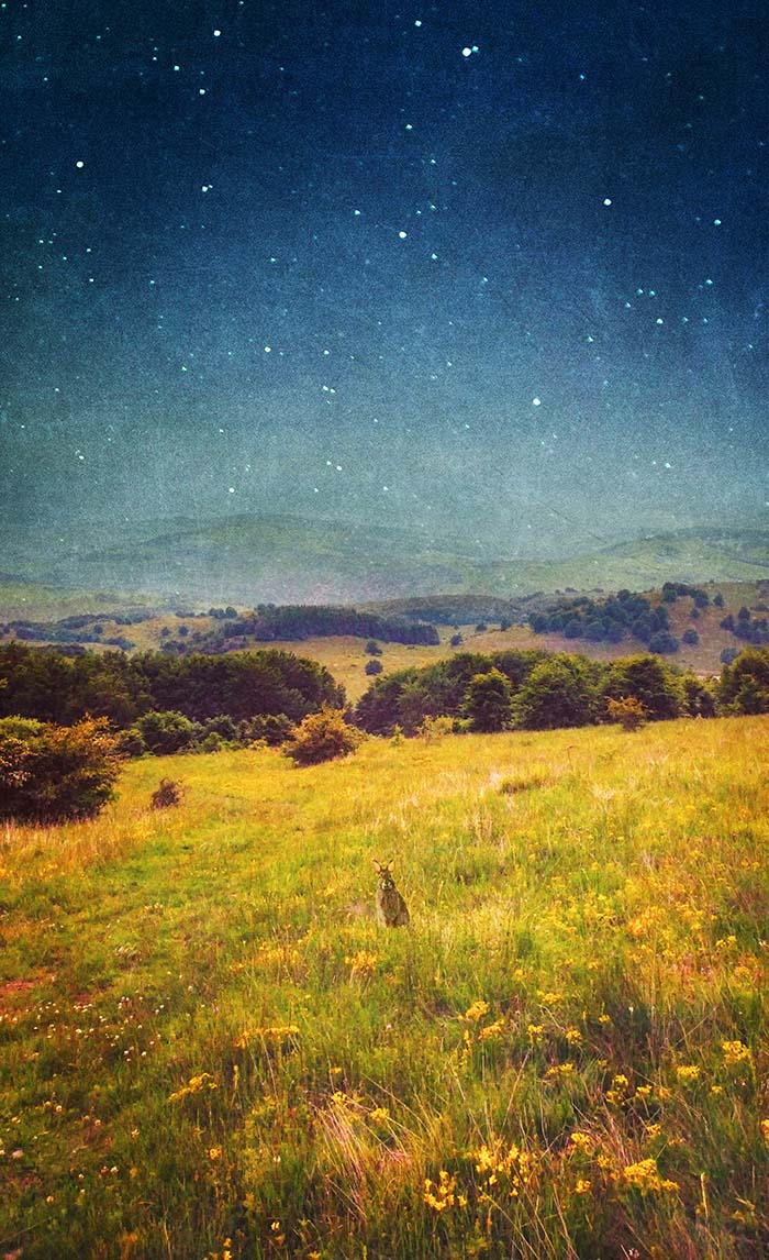 61981eae3784a9970d28571ac77b6dbd